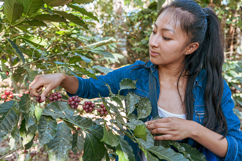 A woman holding branches.