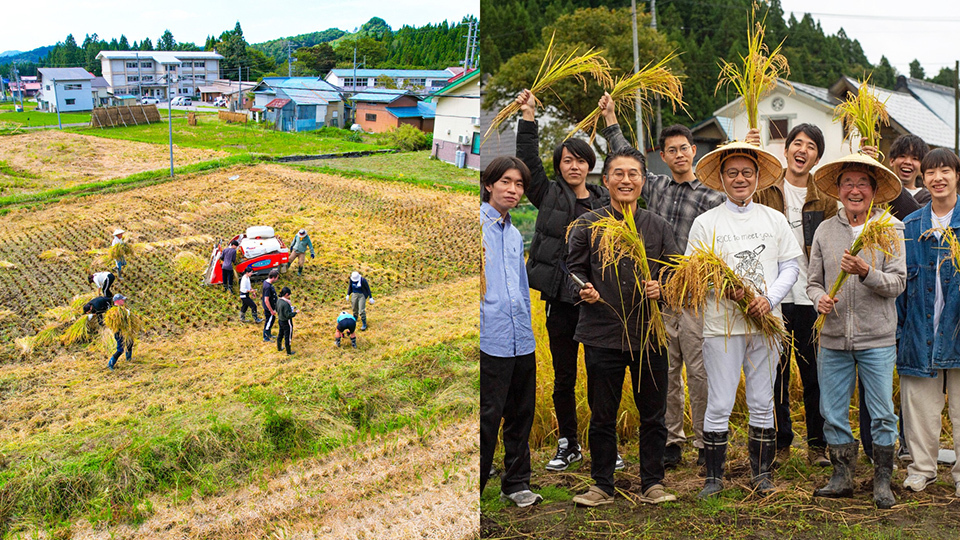 Two images depict one image of people working in a yellow rice field, alongside one image featuring a group of people gathered celebrating harvest.