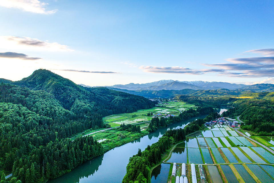 Aerial view showcasing lush green rice fields surronded by majestic mountains under a blue sky.