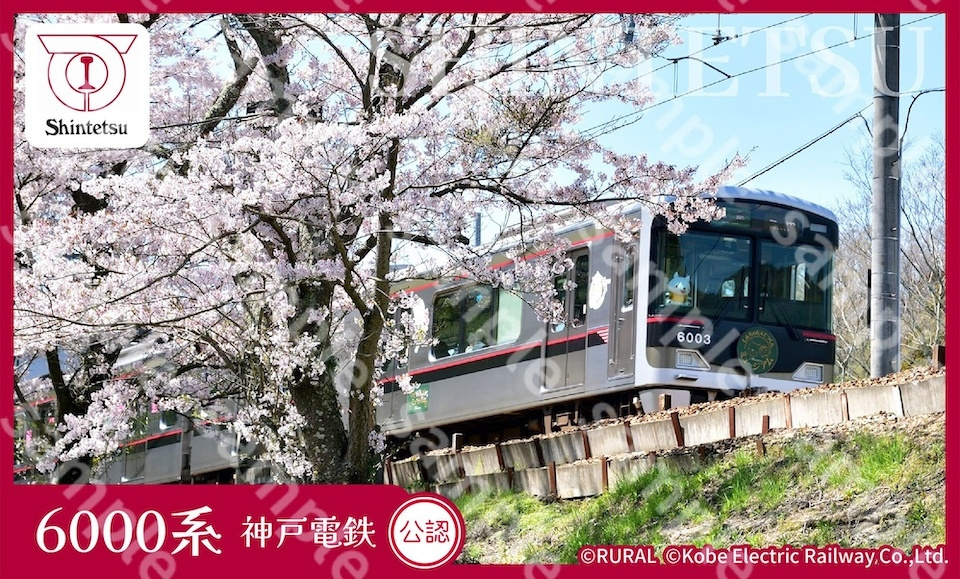 A train moves past a cherry tree in full bloom, its white blossoms creating a picturesque spring landscape.