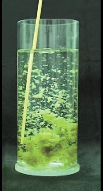 A glass filled with water and a stick, demonstrating how the added agent causes impurities to bind and settle at the bottom.